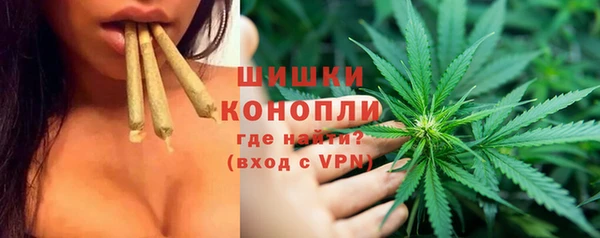 шишки Покров