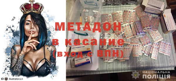 PSILOCYBIN Покачи