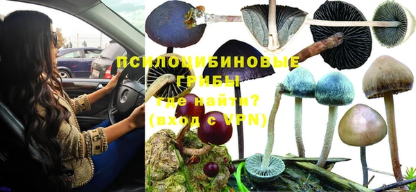 таблы Богородск