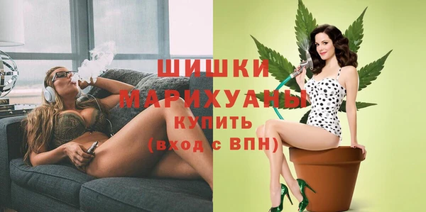 МДПВ Богданович