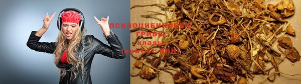 МДПВ Богданович