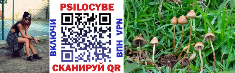 что такое   Новый Уренгой  Псилоцибиновые грибы MAGIC MUSHROOMS 